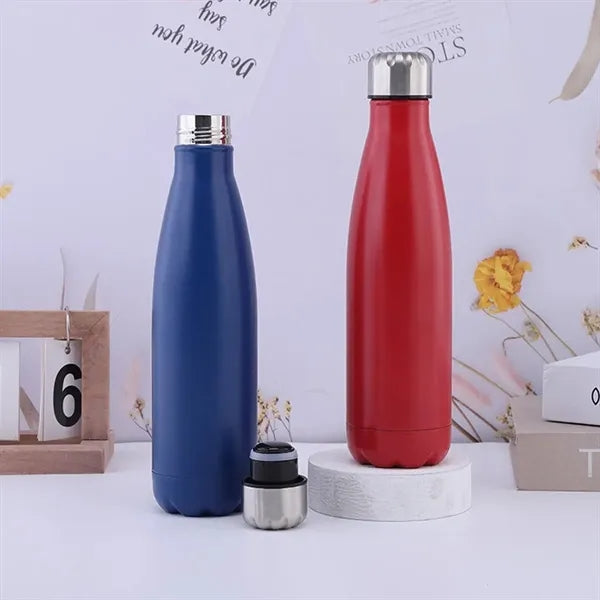 Stainless Steel Water Bottle