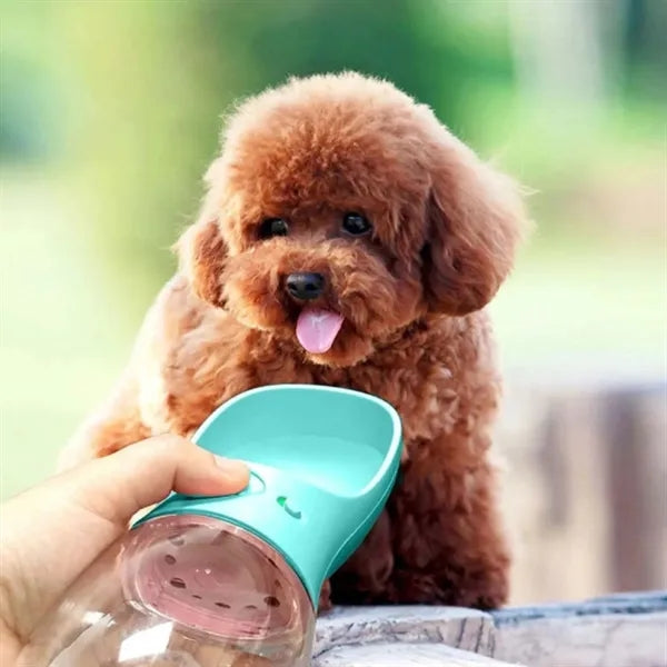 12 Oz. Dog Water Bottle