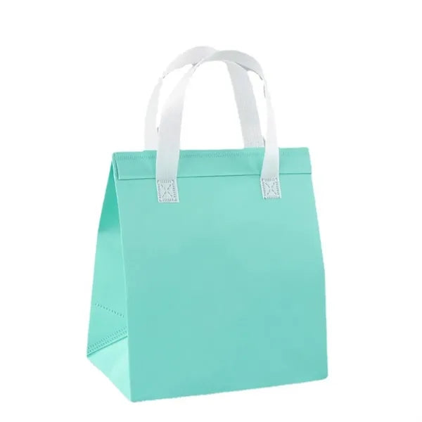 Insulated Lunch Tote Bag