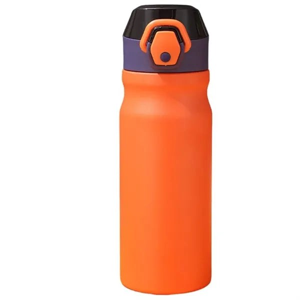 18oz Lockable Lid Stainless Steel Water Bottle w/ Straw