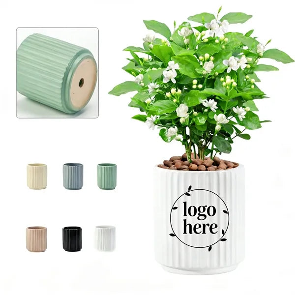 Ceramic Planter Pots