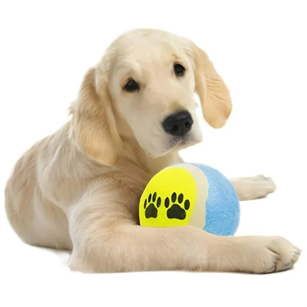 Pet Paw Print Interactive Tennis Ball Toy
