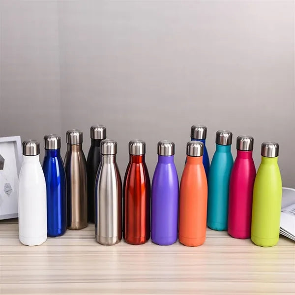 17oz Stainless Steel Water Bottle Double Walled