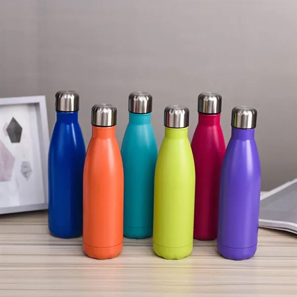 17oz Stainless Steel Water Bottle Double Walled
