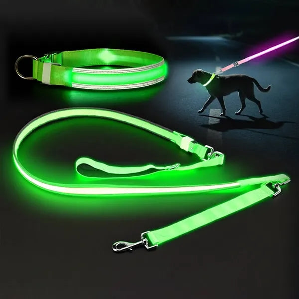 Glowing LED Pet Collar Leash