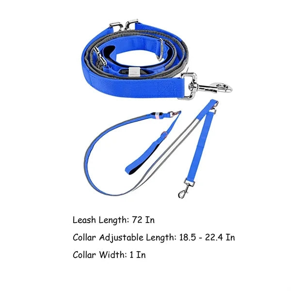 Glowing LED Pet Collar Leash