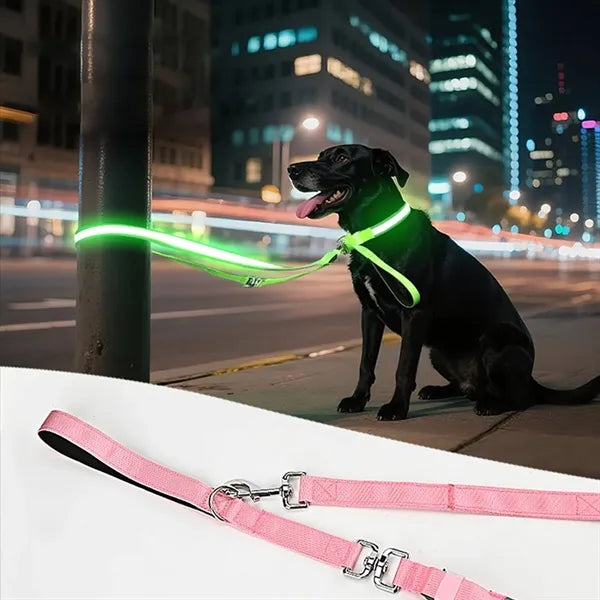 Glowing LED Pet Collar Leash