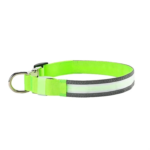 Rechargeable LED Light Up Dog Collar