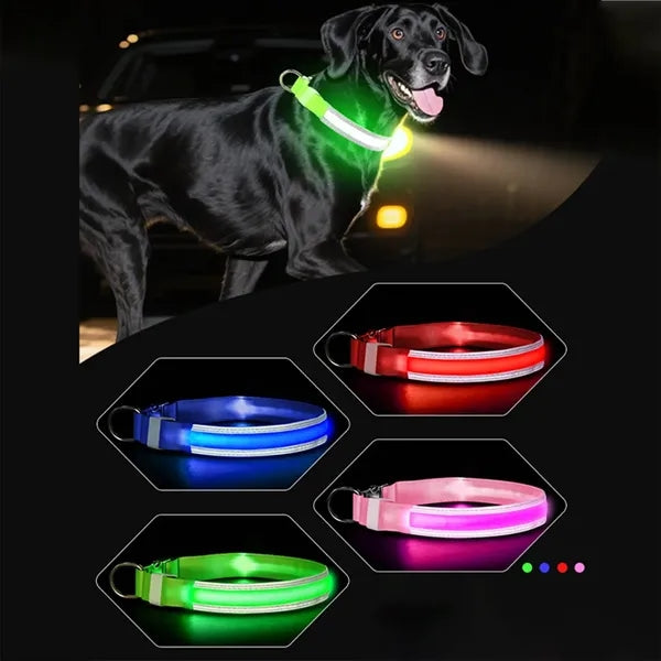 Rechargeable LED Light Up Dog Collar