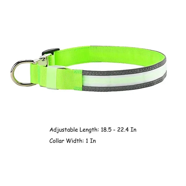 Rechargeable LED Light Up Dog Collar