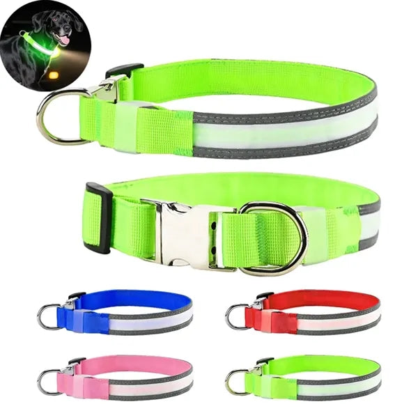 Rechargeable LED Light Up Dog Collar