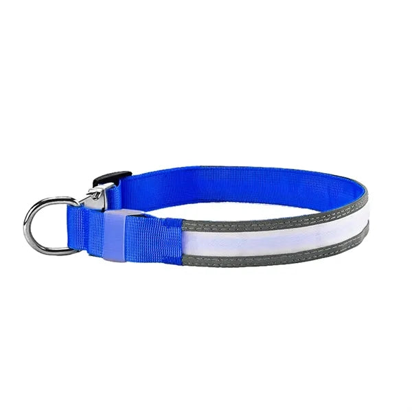 Rechargeable LED Light Up Dog Collar