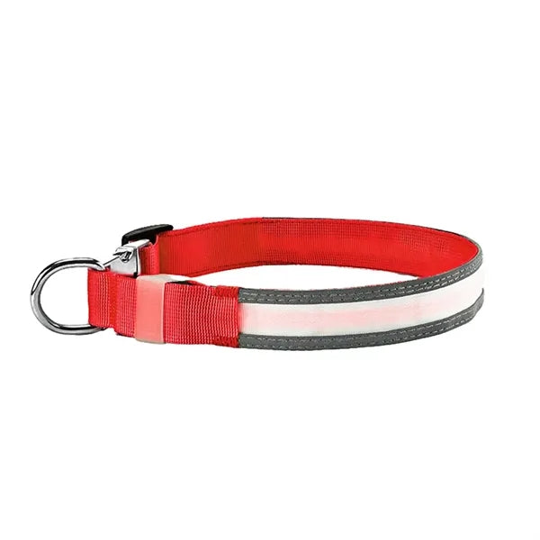 Rechargeable LED Light Up Dog Collar