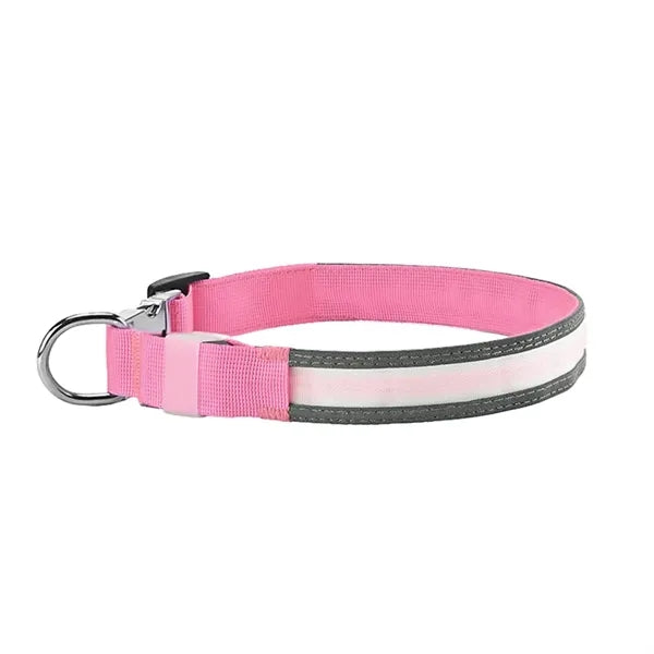 Rechargeable LED Light Up Dog Collar