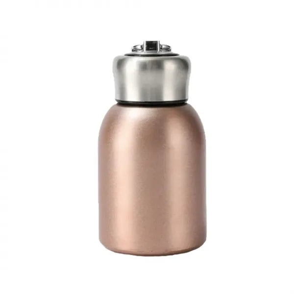 Stainless Steel Mini Insulated Water Bottle