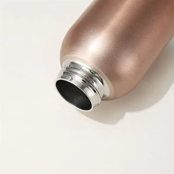 Stainless Steel Mini Insulated Water Bottle