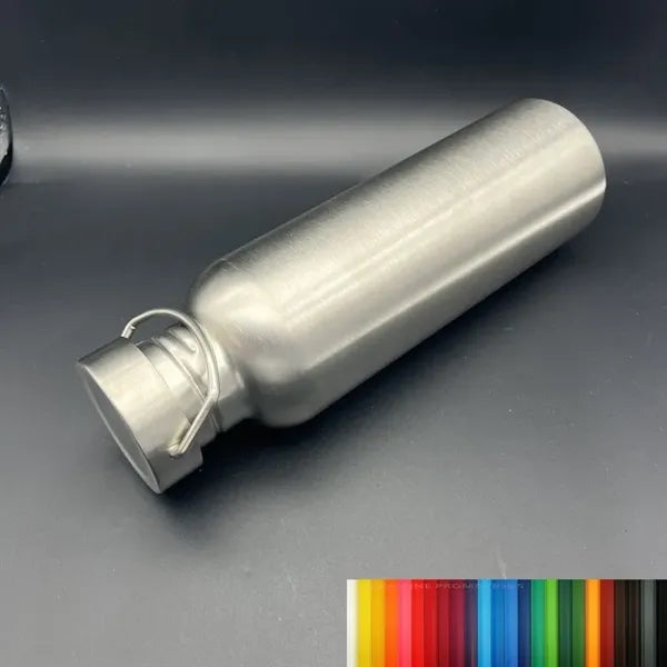 Stainless Steel Bottle With Handle