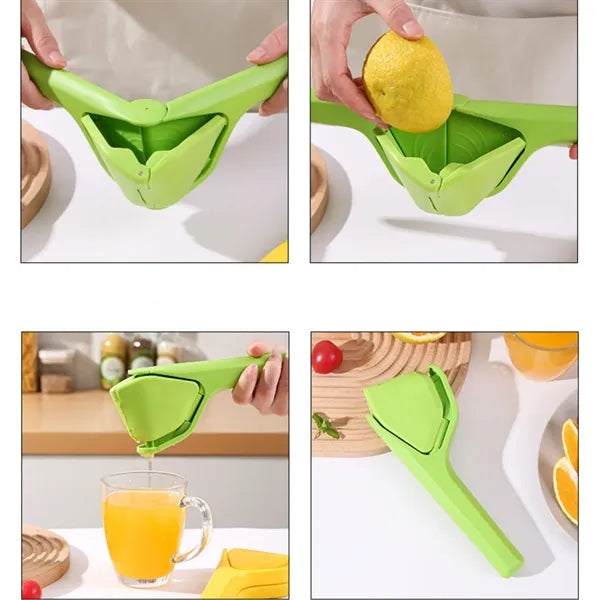 Multi functional lemon juicer