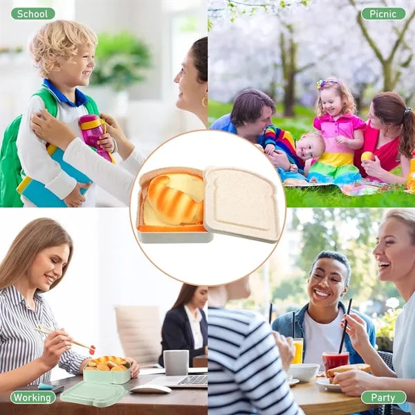 Eco-Friendly Toast Shape Sandwich Box