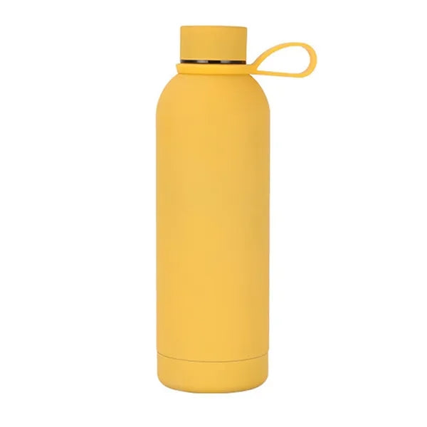 17oz Insulated Sports Bottle with Carry Handle