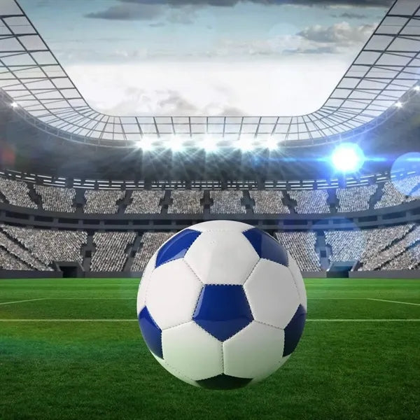 Size 5 Professional Soccer Ball