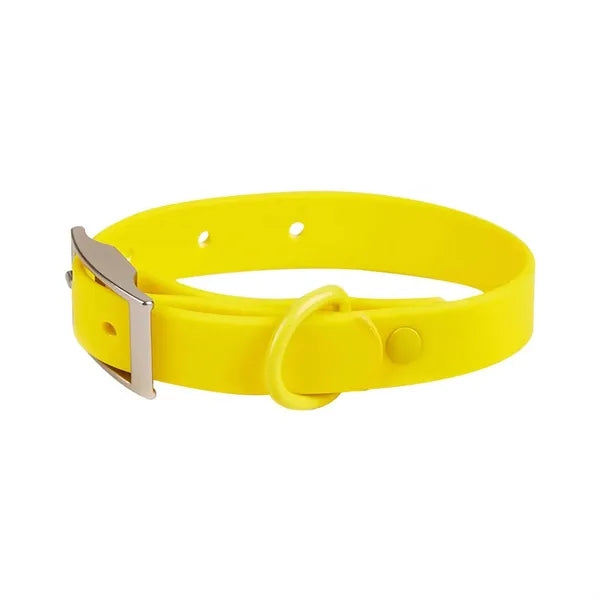PVC Adjustable Pet Collar w/ Buckle