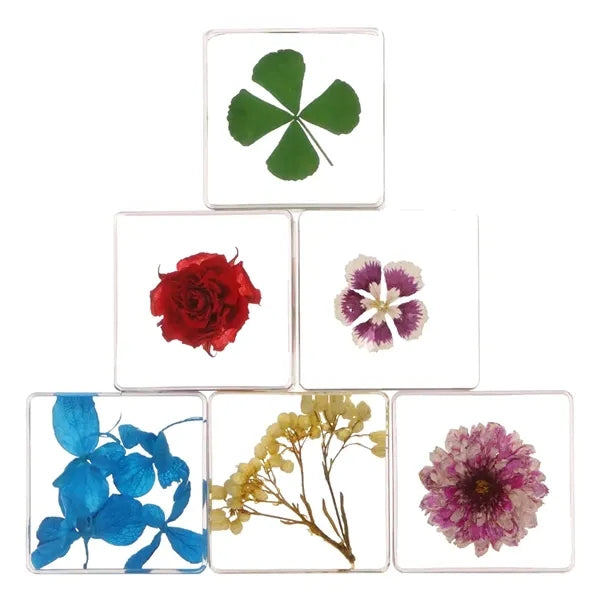 Dried Flower Paperweight