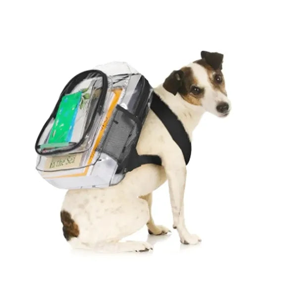 Clear PVC Mini Backpack Stadium Security Transparent Bag