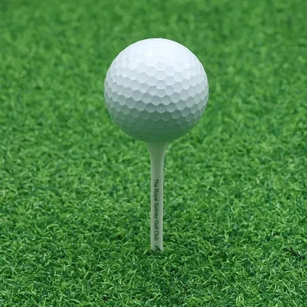 Water Spray Portable Golf Club Cleaner Brush Tool