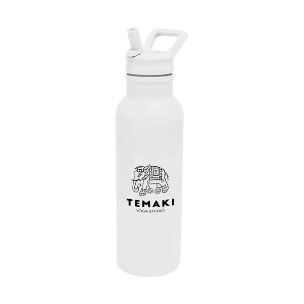 17 Oz. Hailey Recycled Stainless Steel Bottle