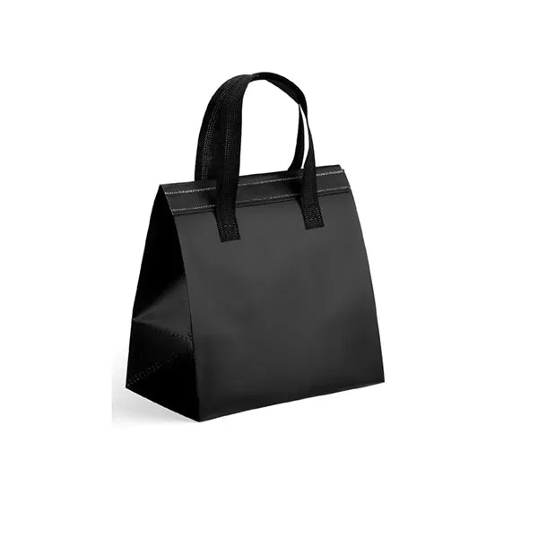 Insulated Take Away Bag,Disposable Non-woven Cooler Tote