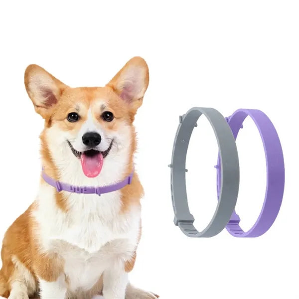 8-Month Protection Adjustable Flea Tick Control Pet Collar