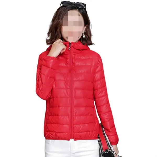 Lightweight Winter Insulated Zip-Up Hooded Jacket