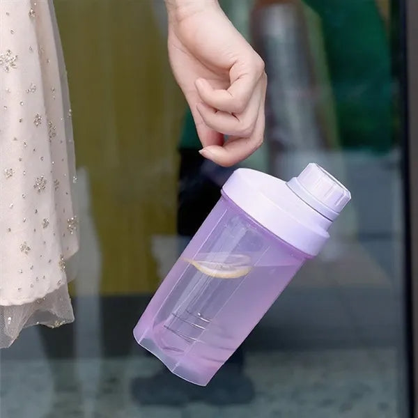 17oz Sport Shaker Bottle w/ Mixing Ball