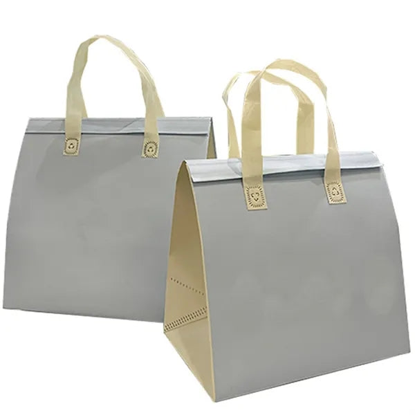 Insulated Lunch Tote Bag