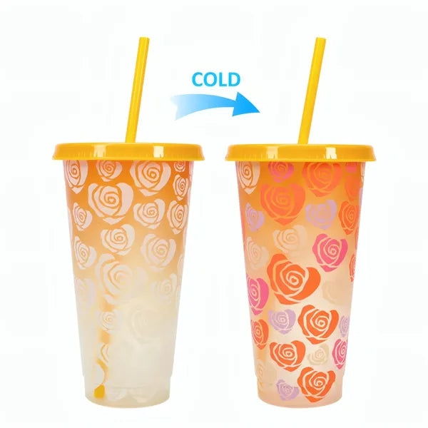 24oz Cold Color Changing Cup W/Lid&Straw