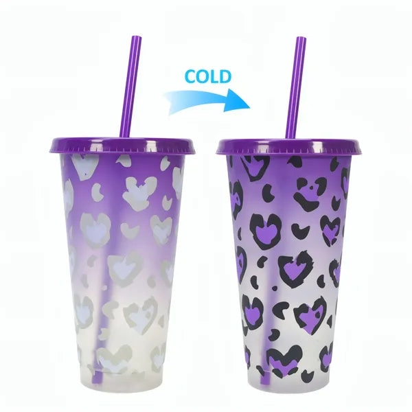24oz Cold Color Changing Cup W/Lid&Straw