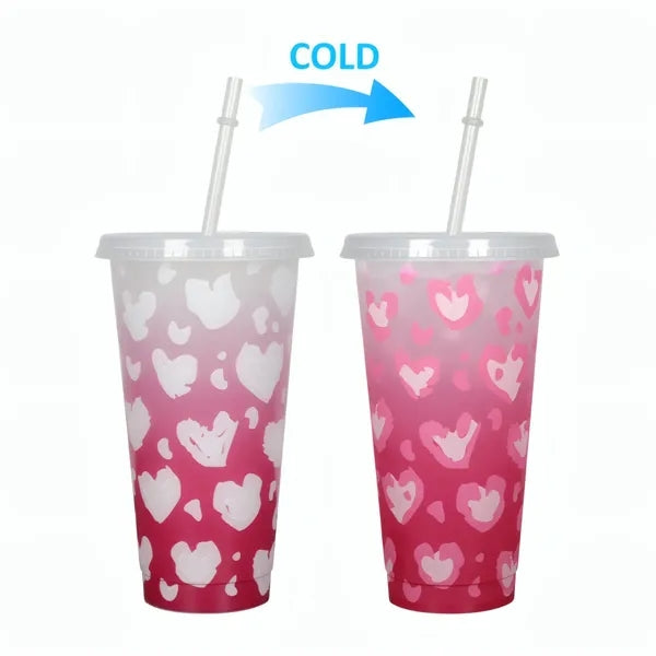 24oz Cold Color Changing Cup W/Lid&Straw