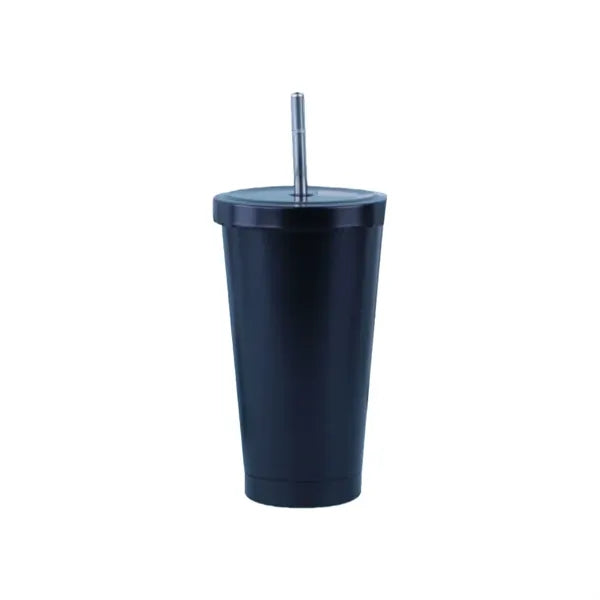 Simple Modern Insulated Tumbler with Lid and Straw