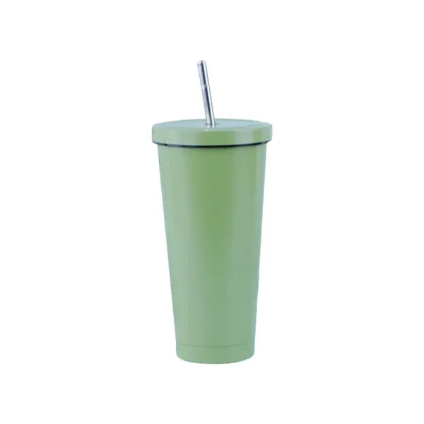 Simple Modern Insulated Tumbler with Lid and Straw