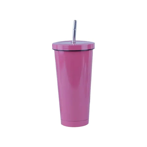 Simple Modern Insulated Tumbler with Lid and Straw