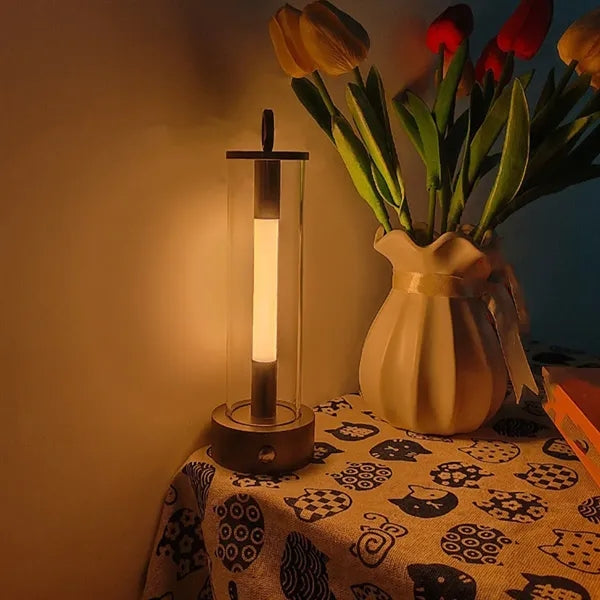 Portable rechargeable outdoor ambient night light desk lamp