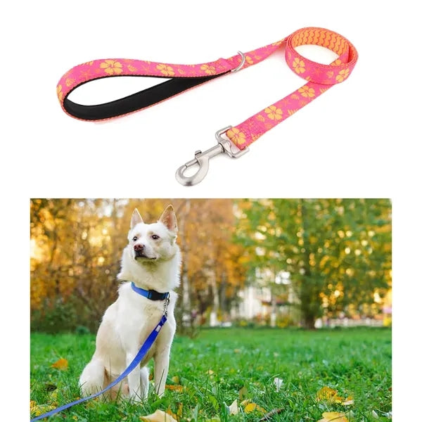 Dog Leash