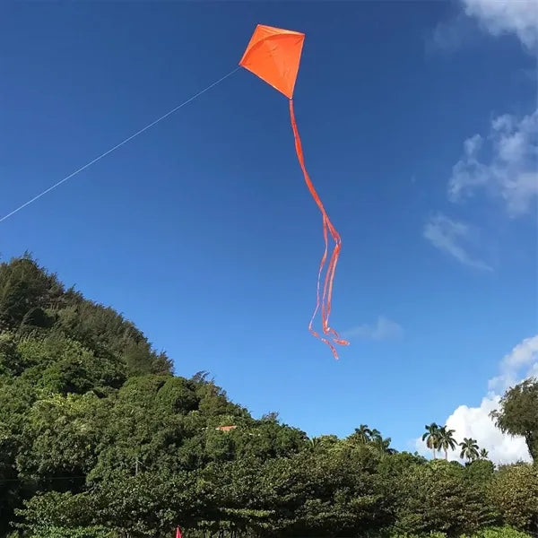 Outdoor Kids Adults Toys Durable Customized Diamond Kite