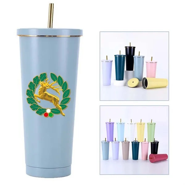 25 oz Insulated Tumbler with Lid and Straw