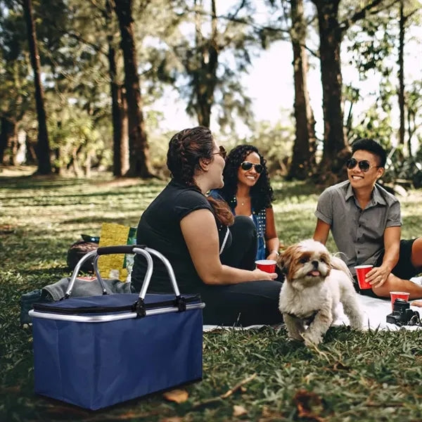 Insulated Foldable Collapsible Picnic Basket with Handles