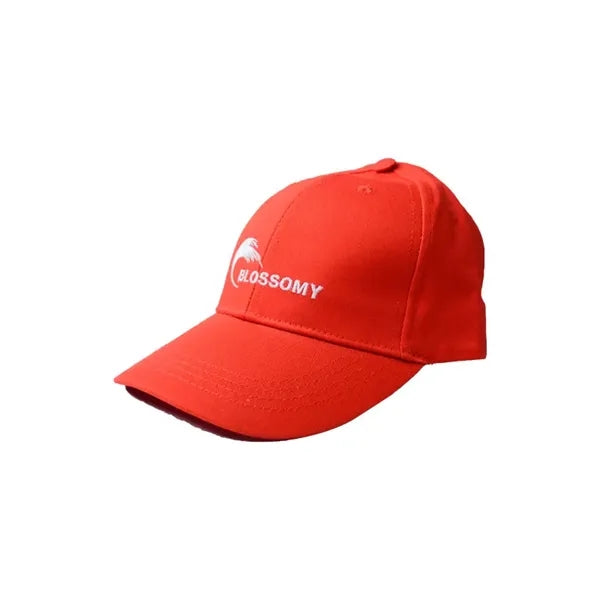6 Panel Baseball Cap