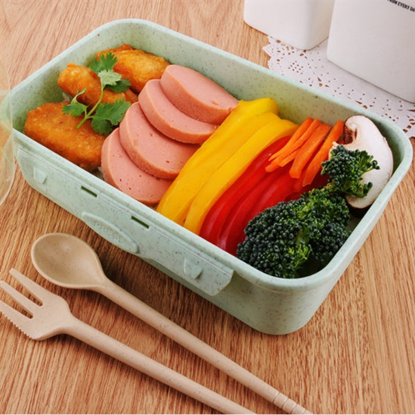 800ml Rectangle Wheat Straw Fiber Lunchbox
