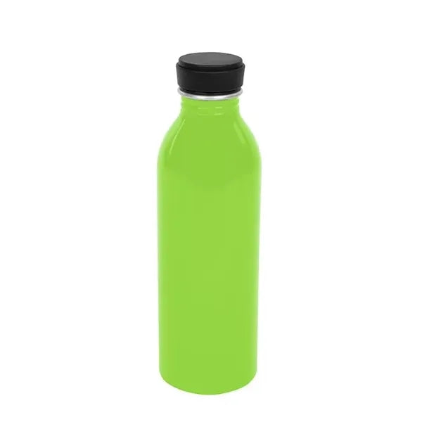 17 Oz. Aluminum Bottle