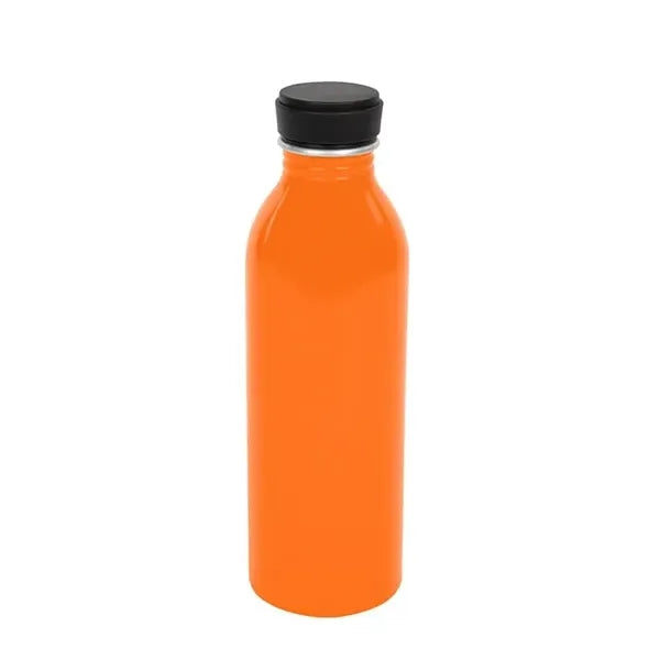 17 Oz. Aluminum Bottle